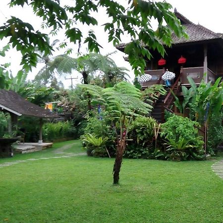 הוילה Selemadeg  Bali Mountain Retreat מראה חיצוני תמונה