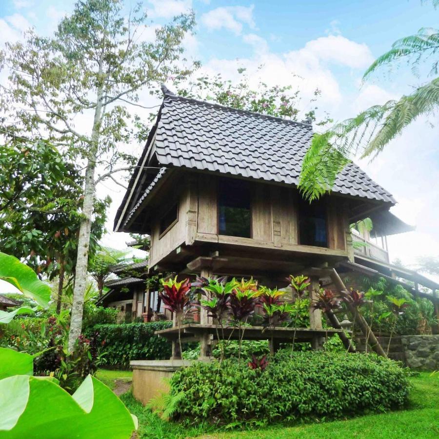 הוילה Selemadeg  Bali Mountain Retreat מראה חיצוני תמונה