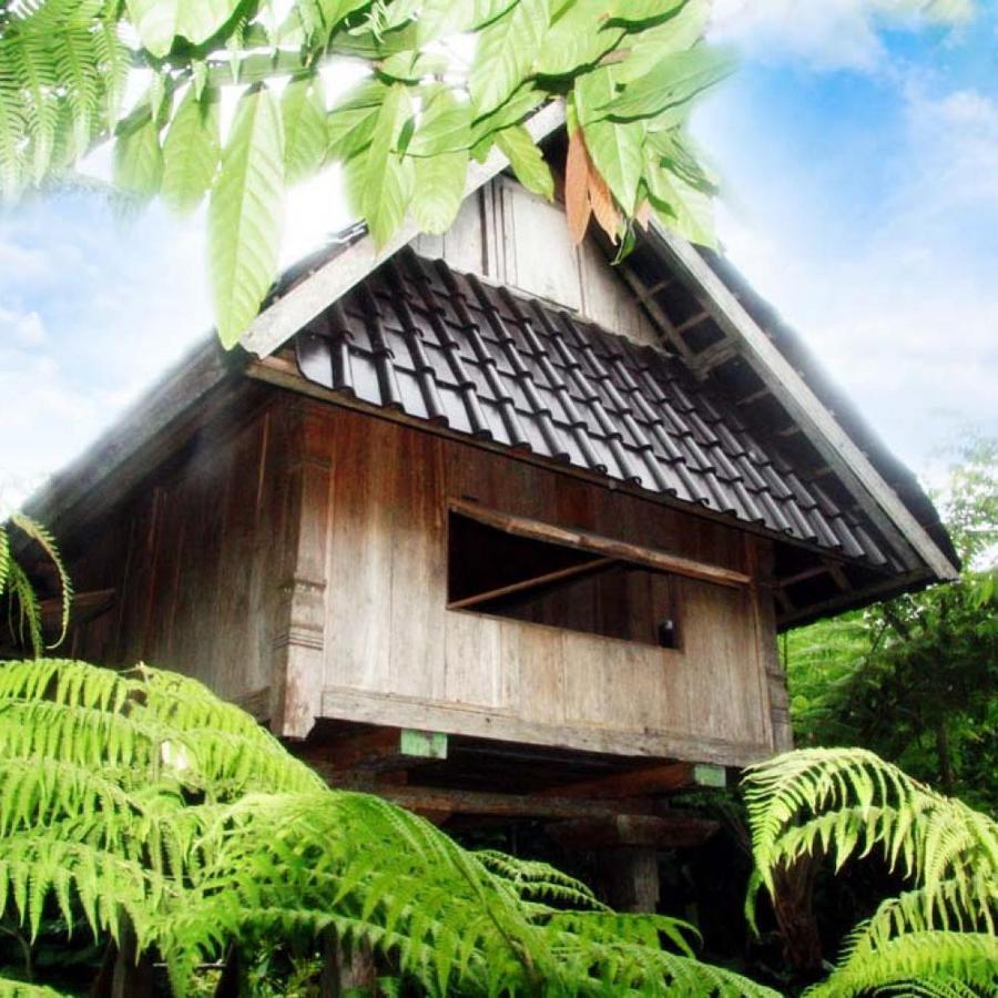הוילה Selemadeg  Bali Mountain Retreat מראה חיצוני תמונה