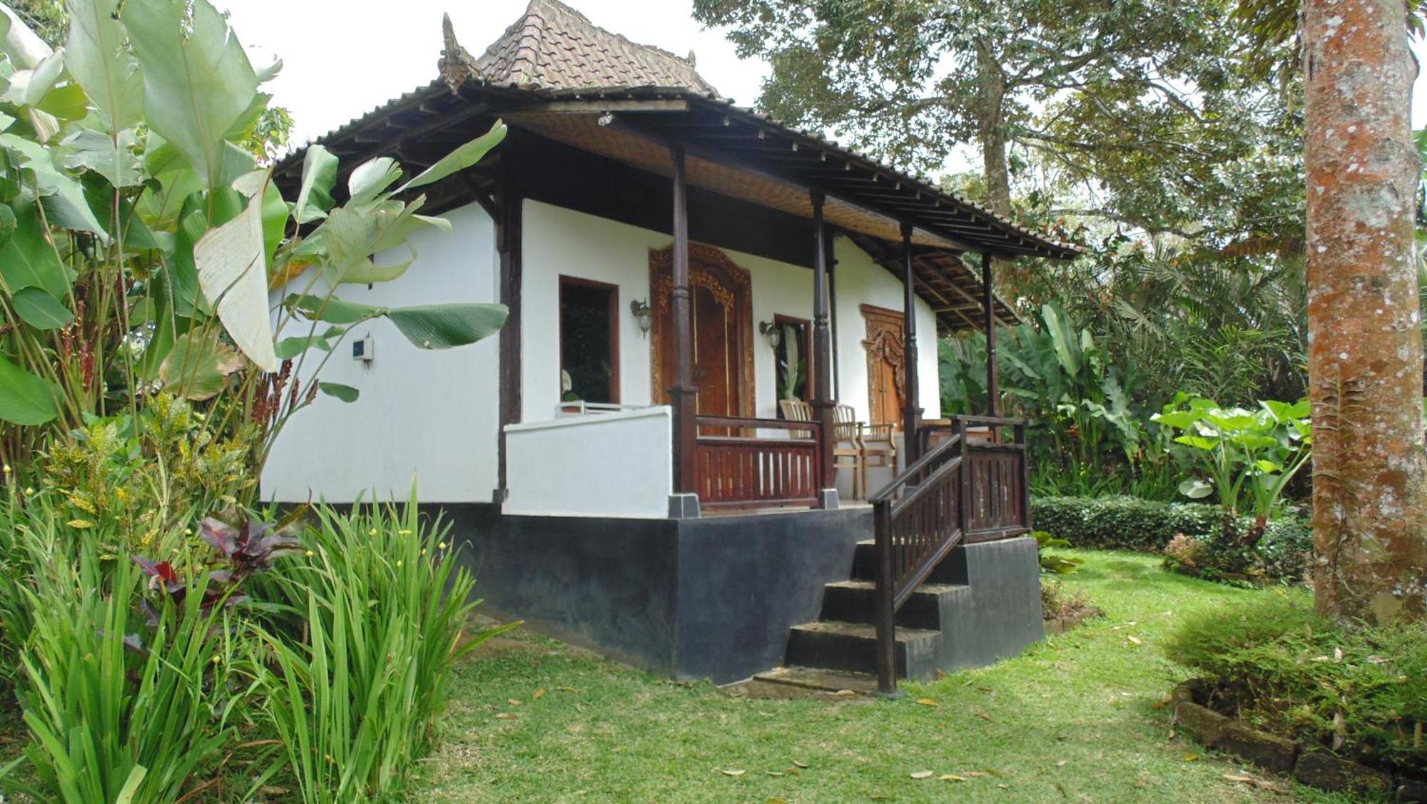 הוילה Selemadeg  Bali Mountain Retreat מראה חיצוני תמונה