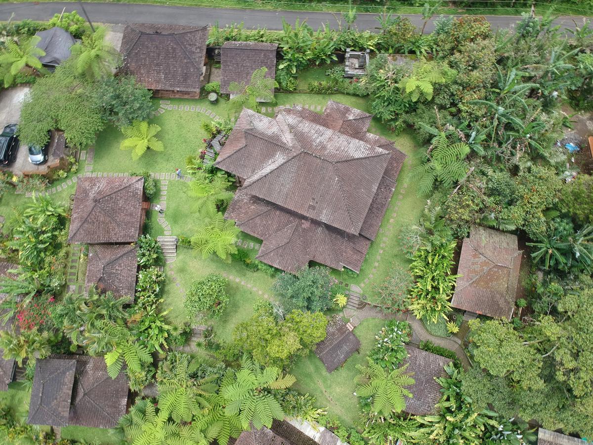 הוילה Selemadeg  Bali Mountain Retreat מראה חיצוני תמונה
