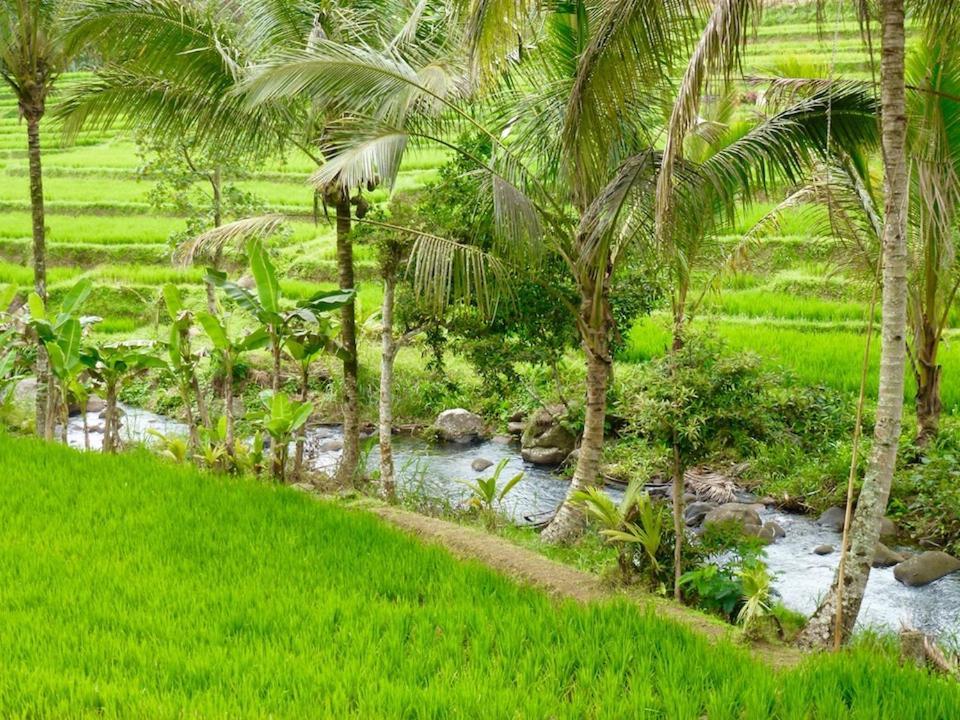 הוילה Selemadeg  Bali Mountain Retreat מראה חיצוני תמונה