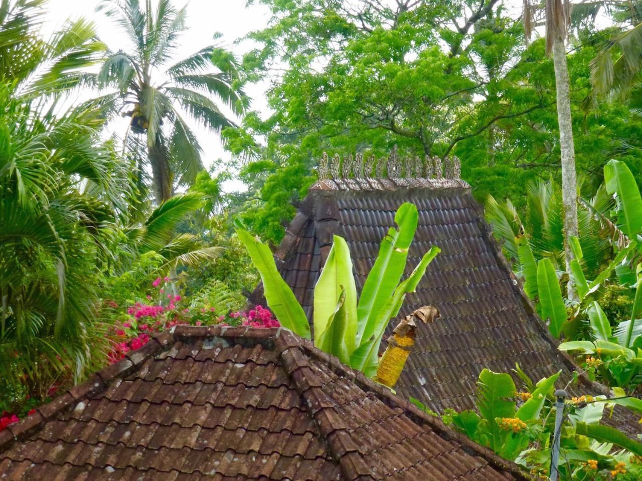 הוילה Selemadeg  Bali Mountain Retreat מראה חיצוני תמונה