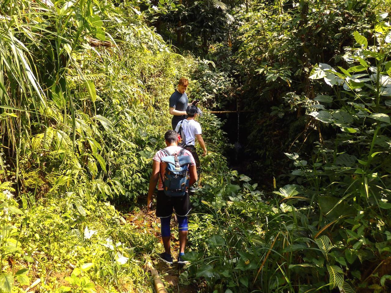 הוילה Selemadeg  Bali Mountain Retreat מראה חיצוני תמונה