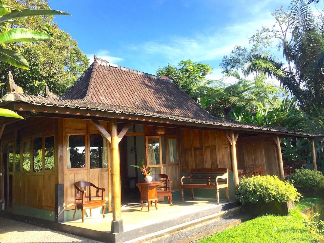 הוילה Selemadeg  Bali Mountain Retreat מראה חיצוני תמונה
